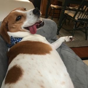 Meet your Posher, Jan marie